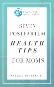 Prenatal Postpartum Ebook