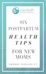 Postpartum Ebook Lake City Physical Therapy